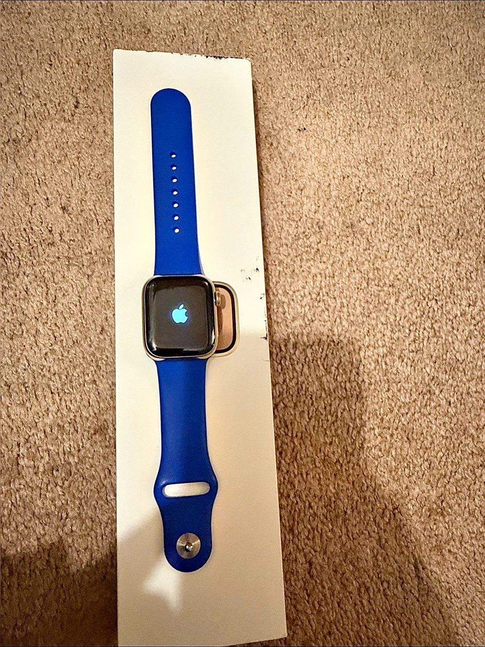 Apple Watch Series 8 Gold stainless 41mm